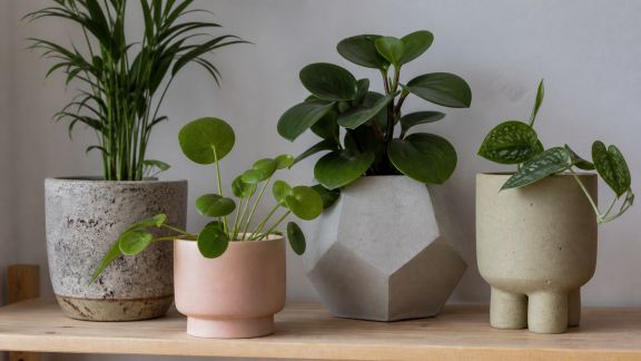 Cache-pots originaux : sublimez vos plantes d’intérieur